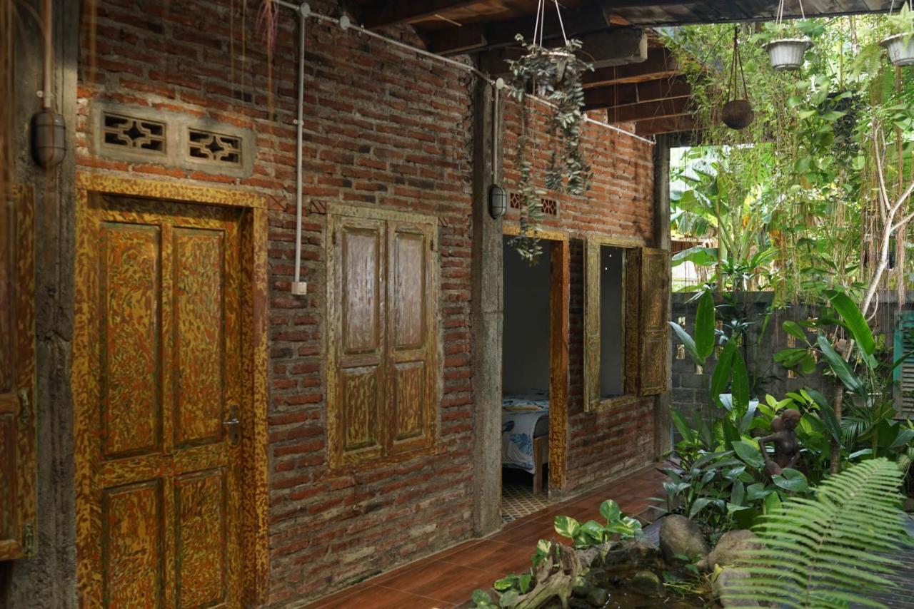 Happy House Bnb Bromo Backpacker プロボリンゴ エクステリア 写真