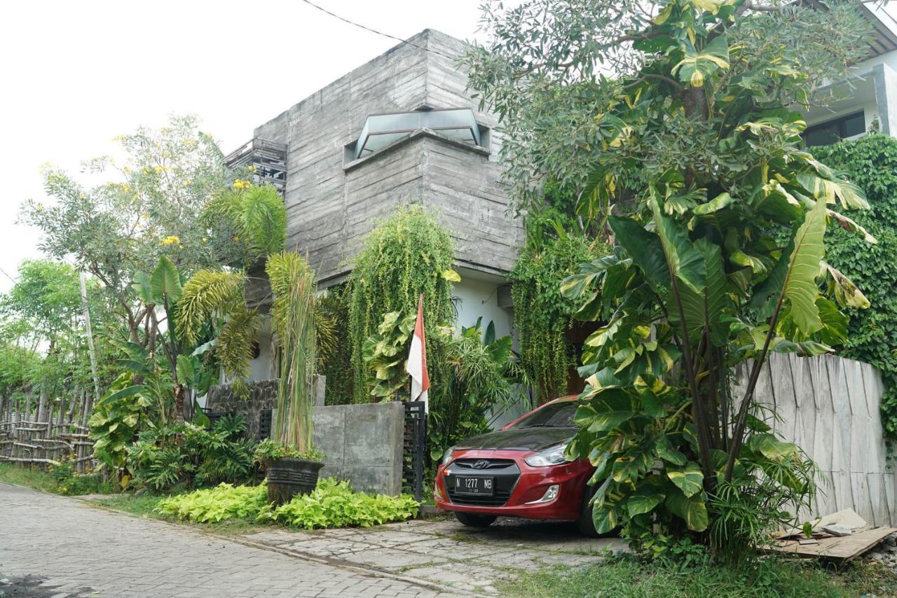 Happy House Bnb Bromo Backpacker プロボリンゴ エクステリア 写真