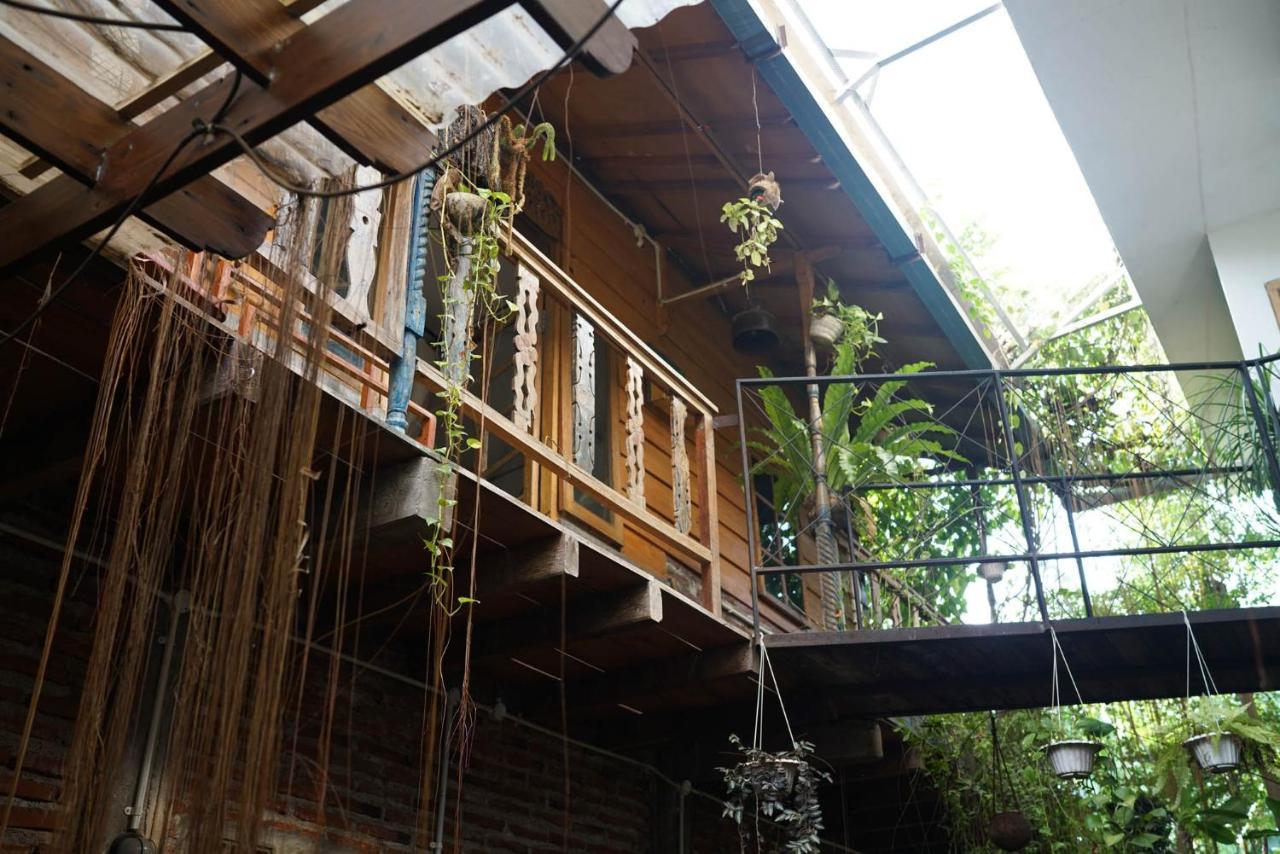 Happy House Bnb Bromo Backpacker プロボリンゴ エクステリア 写真