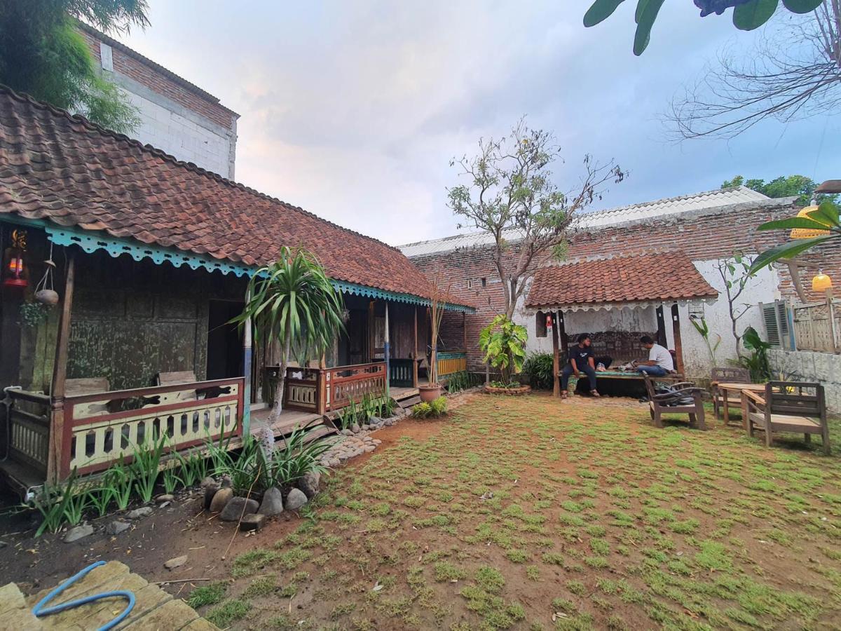 Happy House Bnb Bromo Backpacker プロボリンゴ エクステリア 写真
